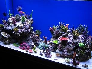 IMG_1538.JPG