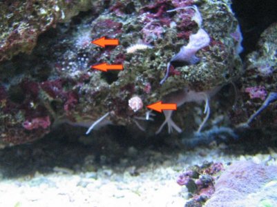 IMG_0793 (800x600).jpg