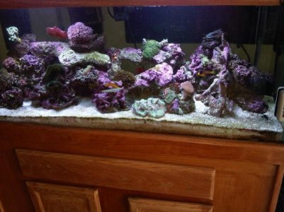 new right small size.jpg