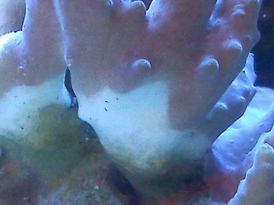 20110519221237.jpg