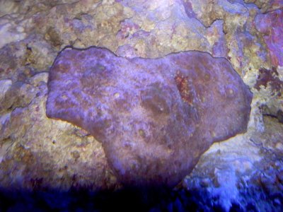 20110607154434.jpg