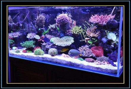 DSC_1314.jpg