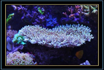 DSC_1157.jpg