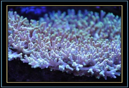 DSC_1161.jpg