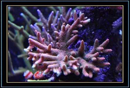 DSC_1165.jpg