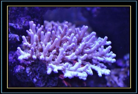 DSC_1170.jpg
