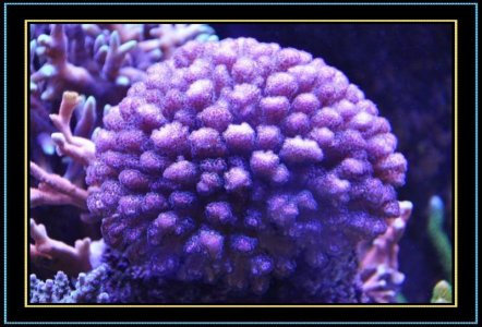 DSC_1175.jpg