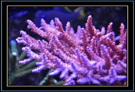 DSC_1180.jpg