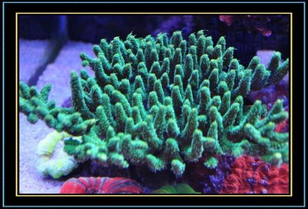 DSC_1191.jpg