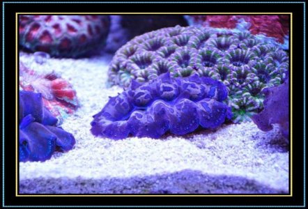 DSC_1203.jpg