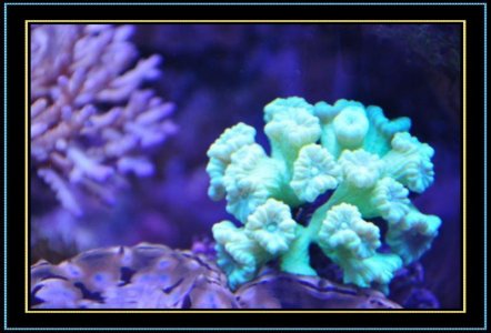 DSC_1251.jpg
