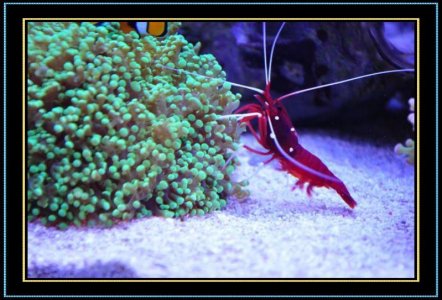 DSC_1212.jpg