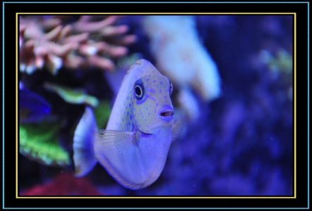 DSC_1295.jpg