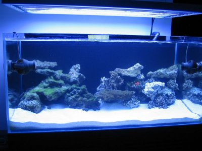 100614214500fc827bb8afd296.jpg