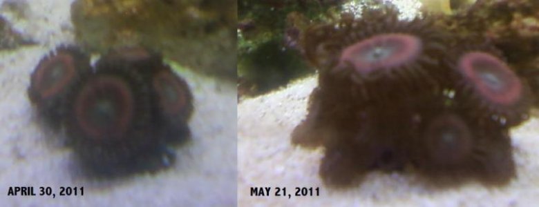 HALO ZOA CHANGE.jpg HALO ZOA CHANGE.jpg