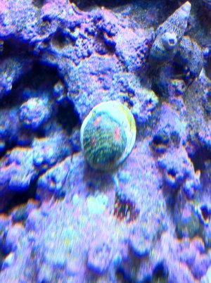 IMG_2612.jpg