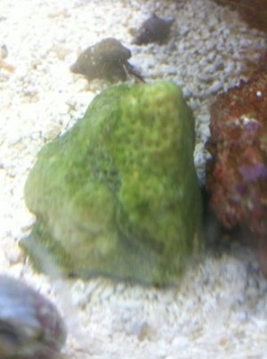 ImageUploadedByTapatalk1306171916.899088.jpg