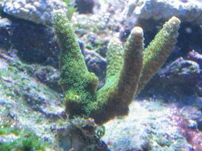 IMG_0542.jpg