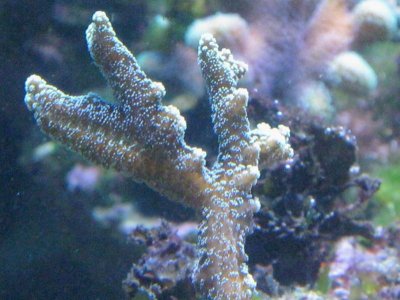 IMG_0543.jpg