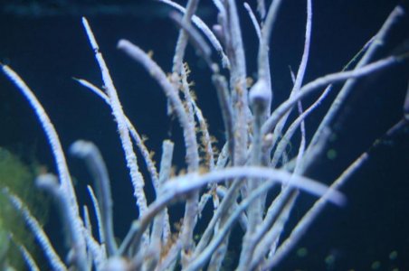 DSC_5084 (Medium).jpg