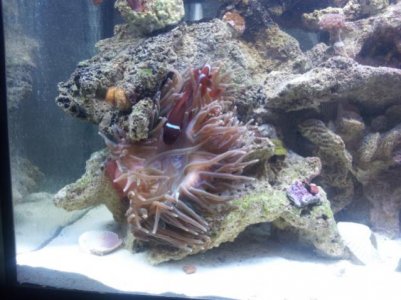 2011-06-19 18.19.07.jpg