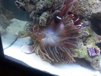 2011-06-19 18.19.53.jpg