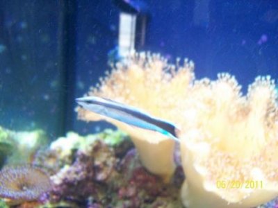 102_1155.jpg