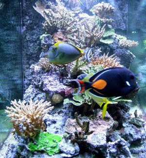 2011-06-21 051-kl.jpg