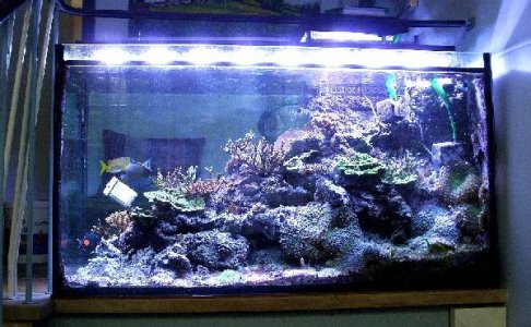 2011-06-21 048-kl.jpg