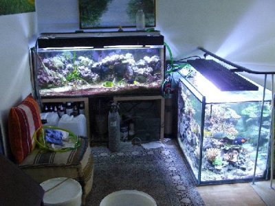 2011-06-21 049-kl.jpg