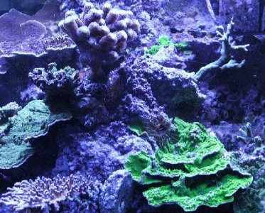 2011-06-21 060-kl.jpg