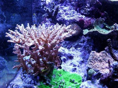 2011-06-21 059-kl.jpg