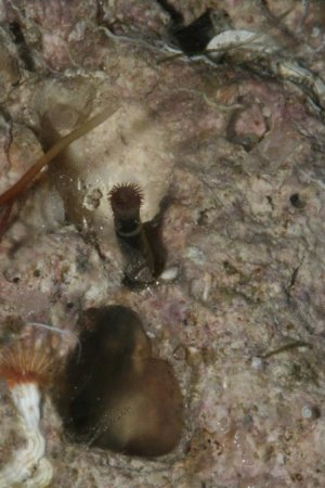 IMG_9403.jpg IMG_9403.jpg