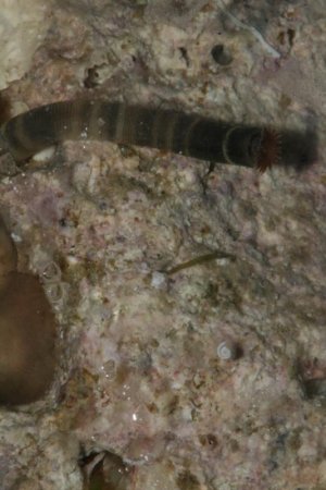 IMG_9413.jpg IMG_9413.jpg