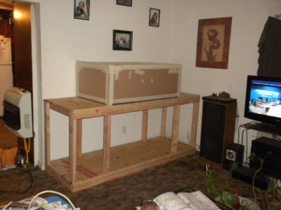 100 gallon tank 0018.JPG