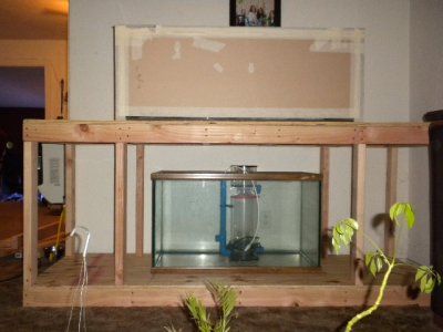 100 gallon tank 0020.JPG