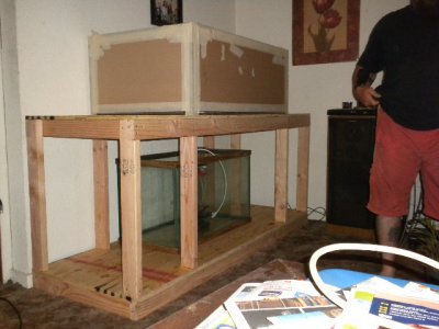 100 gallon tank 0019.JPG