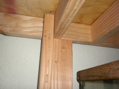 100 gallon tank 0022.JPG