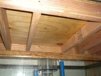 100 gallon tank 0023.JPG