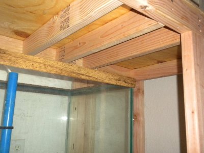 100 gallon tank 0024.JPG