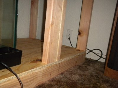 100 gallon tank 0025.JPG
