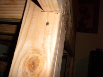 100 gallon tank 0027.JPG