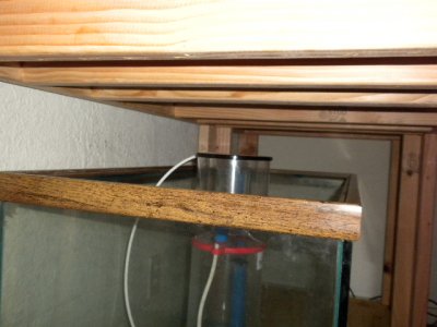 100 gallon tank 0028.JPG
