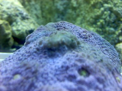 20110527084312.jpg