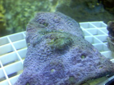 20110527084322.jpg