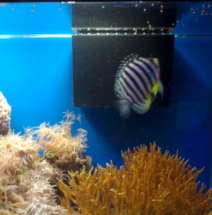 2011-05-27 15.10.18.jpg