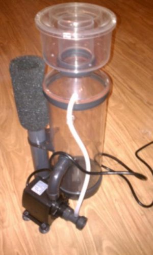 IMAG0166.jpg