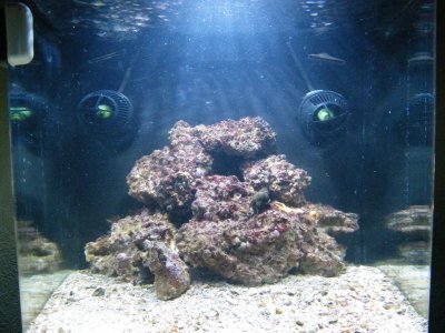 DSCF2113.jpg