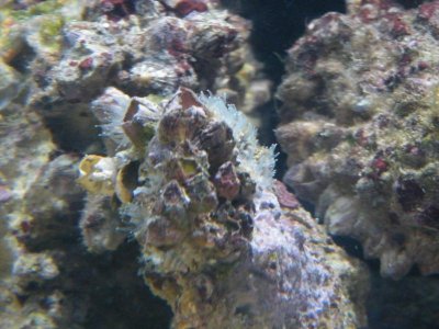 DSCF2120.jpg