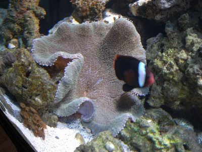 Copy of 11-1-09g (Small).JPG